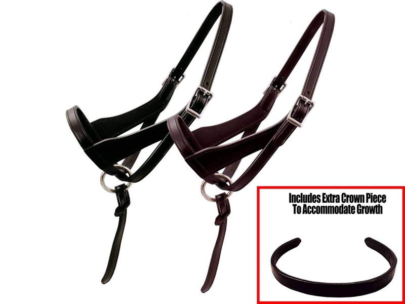 Paris Tack Double Layered Leather Grow with Me Adjustable Horse Foal Halter with Extra Crown Piece - Image 4